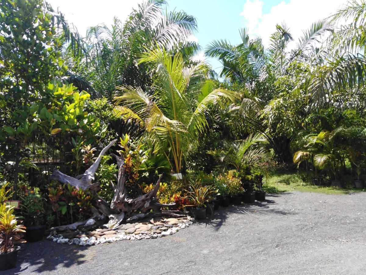 Krasom Homestay Phang Nga Zewnętrze zdjęcie