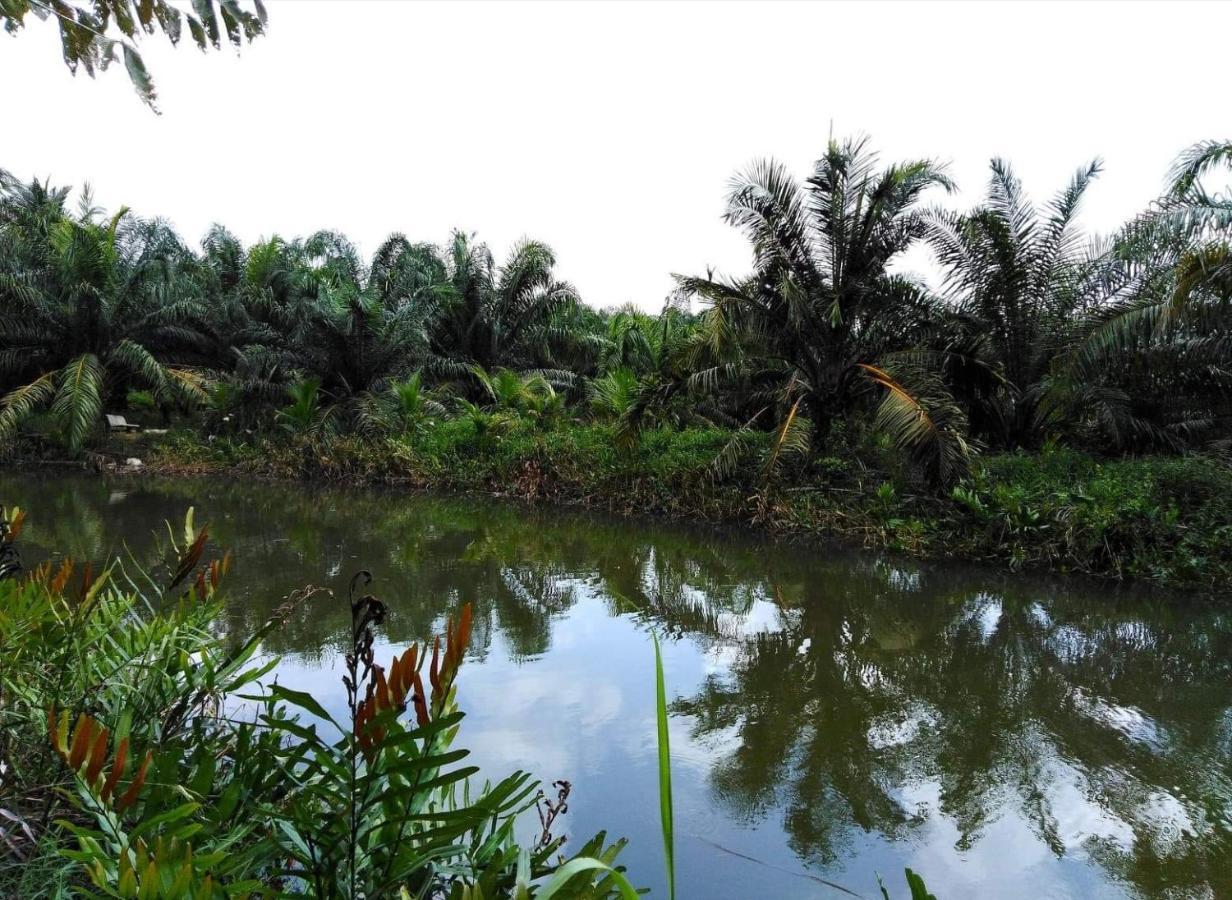 Krasom Homestay Phang Nga Zewnętrze zdjęcie