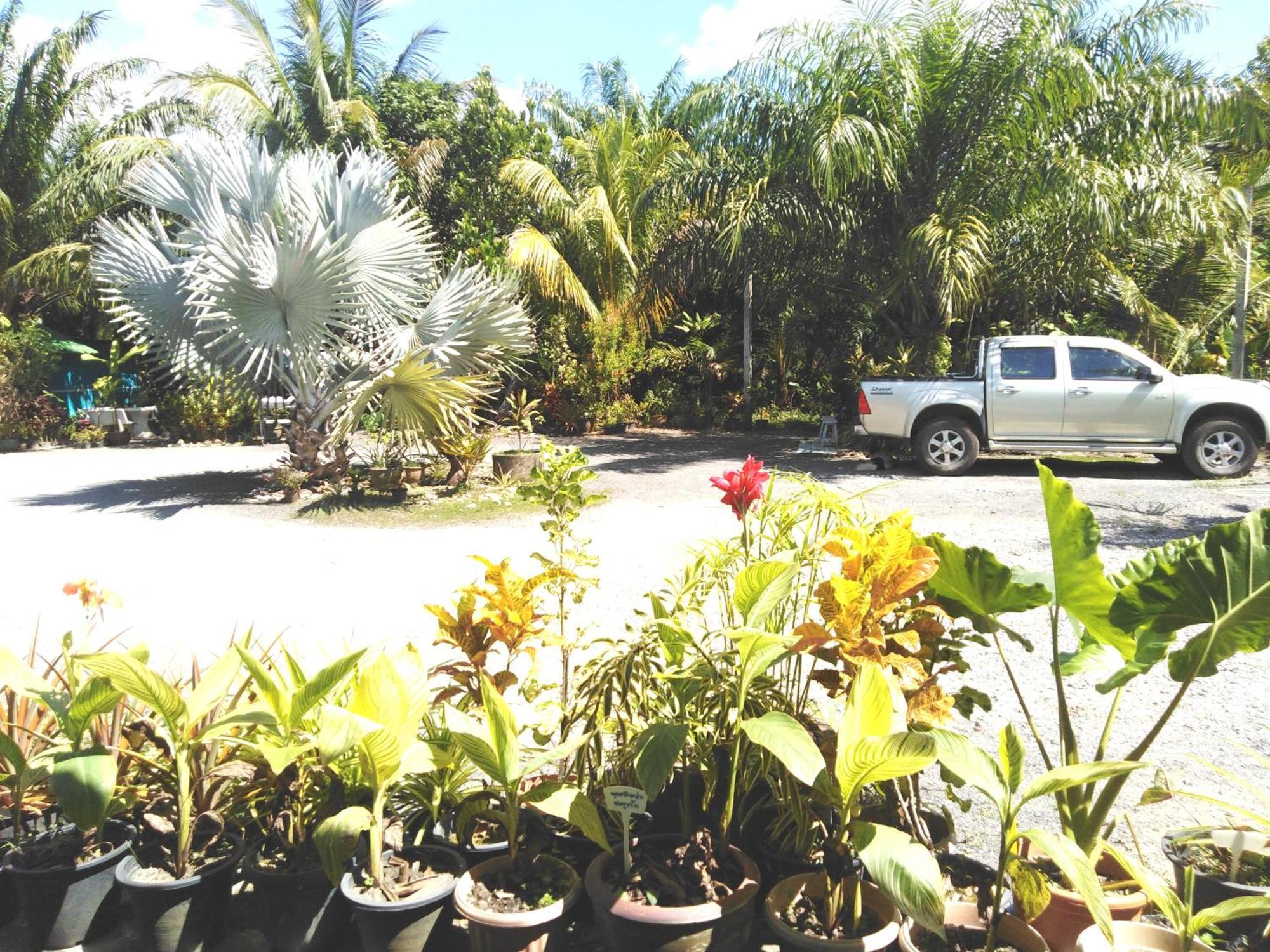 Krasom Homestay Phang Nga Pokój zdjęcie